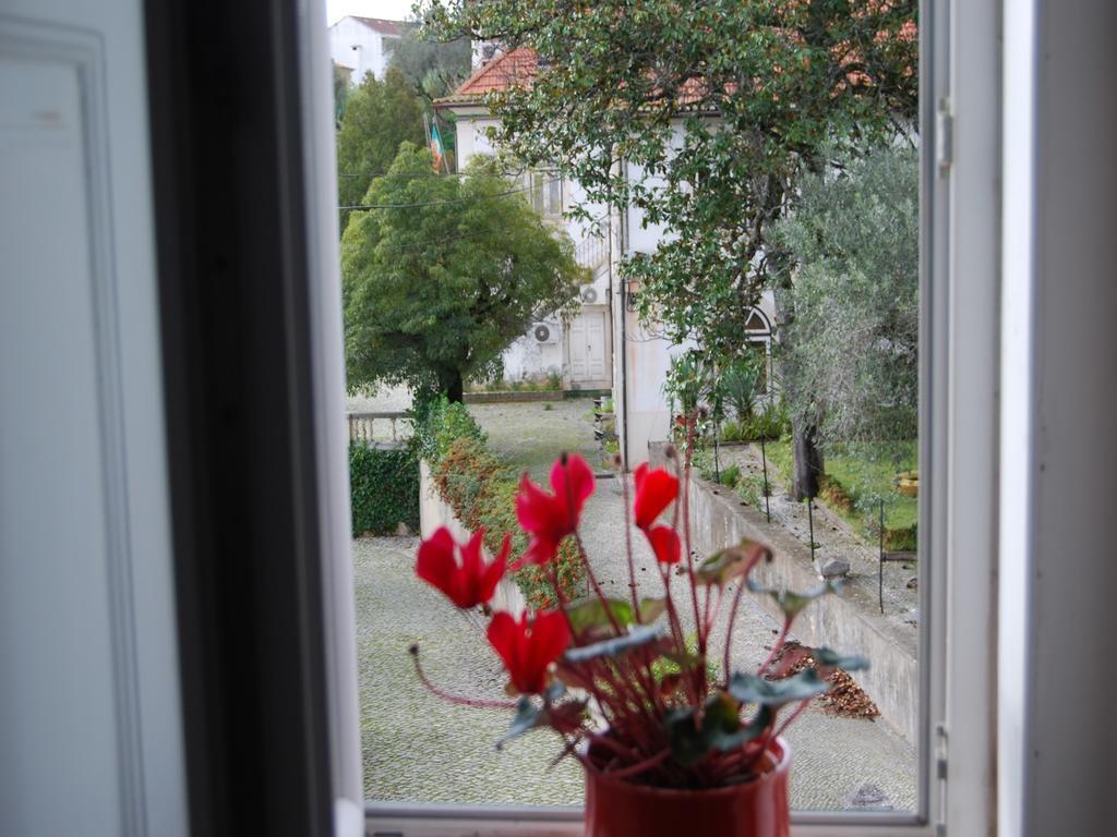 Adore Portugal Coimbra Guest House Eksteriør bilde
